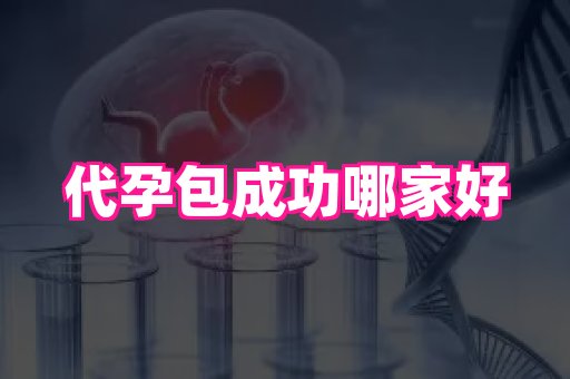 梦美助孕网 3