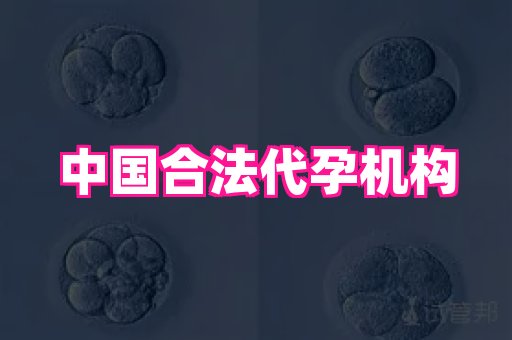 梦美助孕网 4